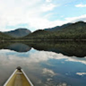 Meet your Posher, Steve